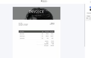 Document Sent View