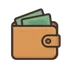 Wally Expense Tracker icon