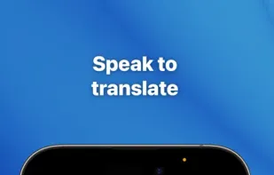 Translate Professional screenshot 3