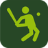 Baseball24 icon