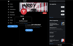 Blue Blocker screenshot 1