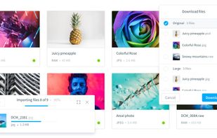 Easily manage and share your files.