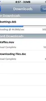Safari Download Manager screenshot 2