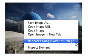 Search by Image (by Google) screenshot 2