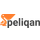Peliqan icon