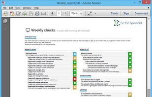 The weekly reporting detailing among other elements, how your website is running and if you have any errors within your linking.
Each week giving you the top 5 things you should focus on.