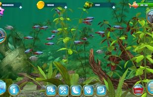 Fish Farm screenshot 1