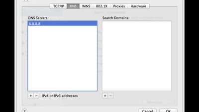 Google DNS (8.8.8.8) set on Mac OS X