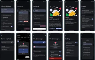 MicroG RE screenshot 1