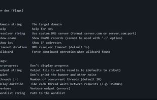 DNS options