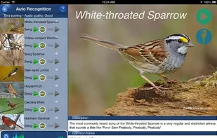 BirdSongId screenshot 3
