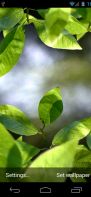 Fresh Leaves screenshot 1