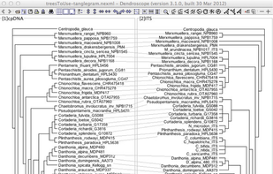 Dendroscope screenshot 3