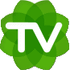 SageTV icon