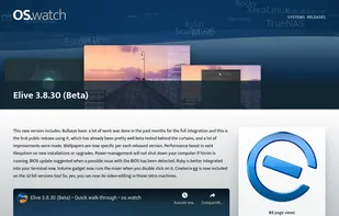 Description of a release