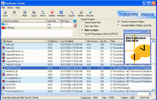 Ashisoft Duplicate File Finder screenshot 1