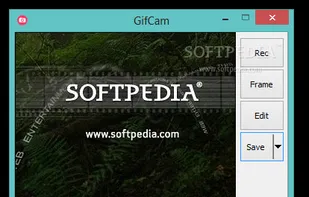 GifCam screenshot 1