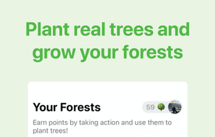LiveGreen screenshot 1