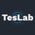 TesLab icon