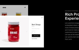 Squarespace screenshot 2