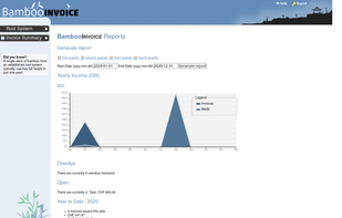 BambooINVOICE screenshot 3