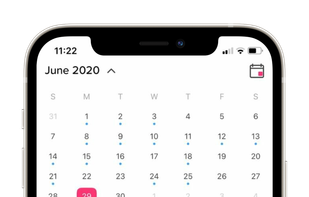 Calendar showing employees requests 