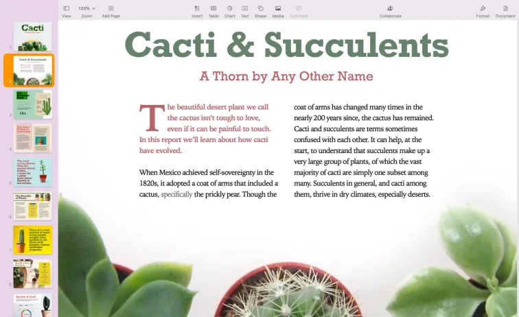 MICROSOFT PUBLISHER COMPETITORS visual data 5