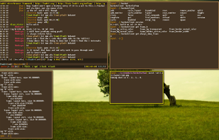 herbstluftwm screenshot 1