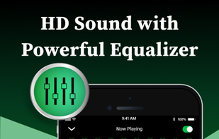 Offline Music Player screenshot 2