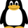 Shtuff Chat icon
