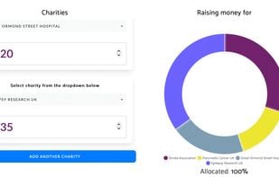 GiveWheel screenshot 1