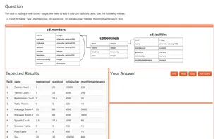 PostgreSQL Exercises screenshot 1