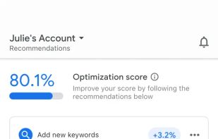 Google Ads screenshot 1