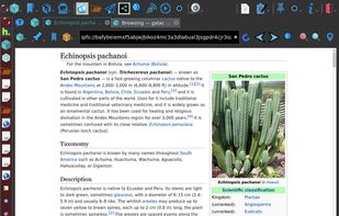 Galacteek screenshot 2