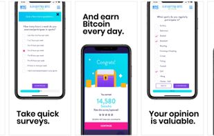 BTCsurveys screenshot 1