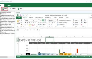 Softmagnat Microsoft Excel Recovery Tool screenshot 3