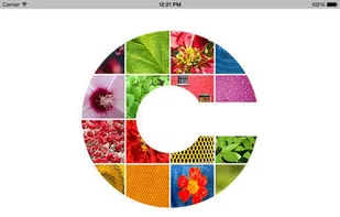 CryptoPhoto screenshot 3