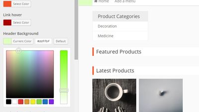 Use any WooCommerce Compatible Theme
