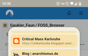 FOSS Browser screenshot 2