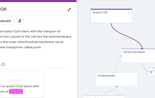 Mind maps, notes and flashcards in one