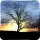 Silhouette Live Wallpaper icon
