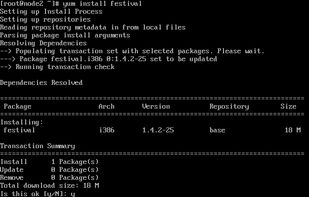 Festival screenshot 1