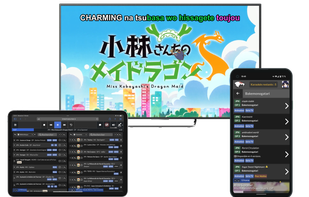 Player, public and operator interfaces