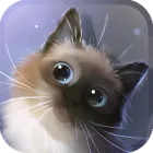 Peper Kitten Live Wallpaper icon
