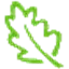 Leaf Networks icon