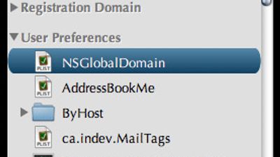 “Open Domain Quickly” Window