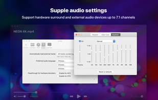 Supple audio settings