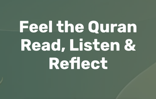 ZikerZone screenshot 2