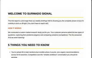 The first page of a Surmado PDF Report