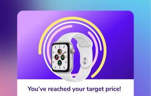 Price tracking feature: add your budget, get notified when the price drops